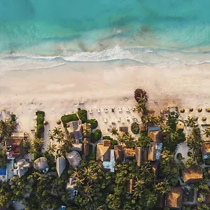 Hotel Casa Violeta, Tulum